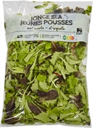 DELHAIZE JONGE SLA DELHAIZE JONGE SLA