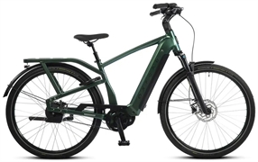 OXFORD BOX 19.1 600 WH